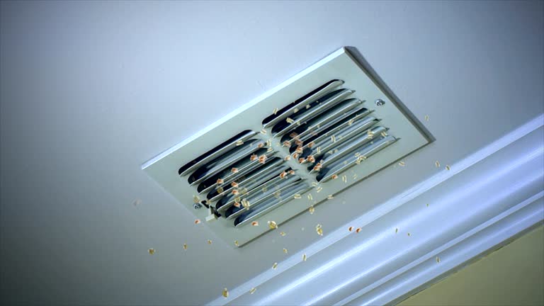 Best Ductwork Cleaning Services  in Republic, MO